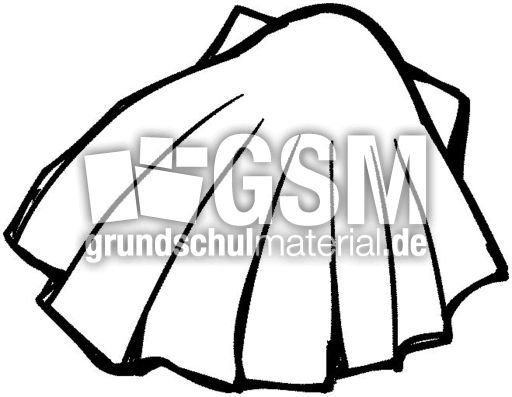 Muschel.jpg